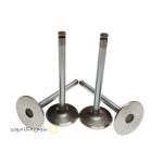 سوپاپ هوا پژو 405 ( موتور xu7 (