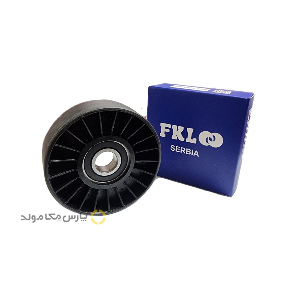 هرزگرد اروپایی پژو 405