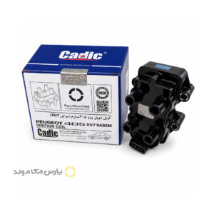 کوئل دوبل ساژم پژو 405 و پراید کادیک